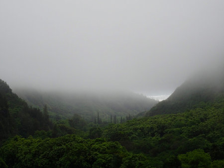 View on the ocean from Iao Valley State Park during a foggy day, on Maui - Hawaii