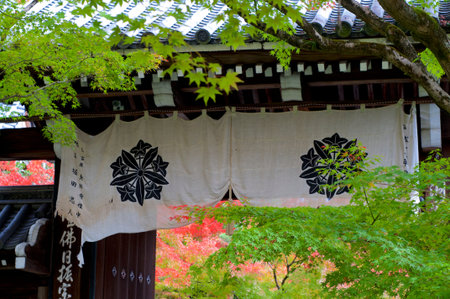 KYOTO, KANSAI, JAPAN - NOVEMBER 14, 2018 : Close up of a typical Japanese banner that hangs at the...