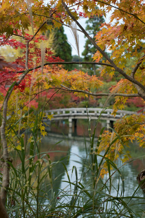 Beautiful autumn colors in Kyoto's Eikando Temple with stone bridge in the background