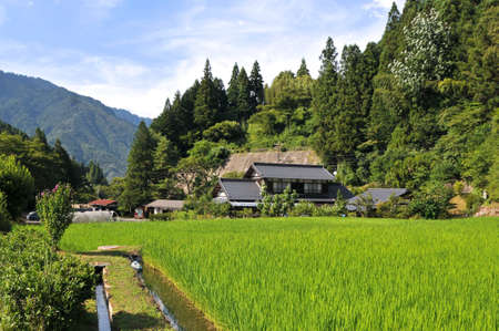 Tsumago, Nagano, Japan - 30th July 2018 : Beautiful view of a typical Japanese house surrounded by a rice field on the Nakasendo road trail in Japanのeditorial素材