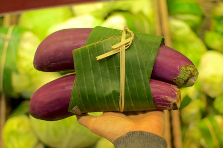 Eggplants wrapped in Banana leaf and held in female hands. This is an excellent solution how replace plastic packaging and reduce the waist of it - Bali, Indonesiaの写真素材