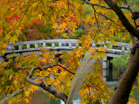 Beautiful autumn colors in Kyoto's Eikando Temple with stone bridge in the background