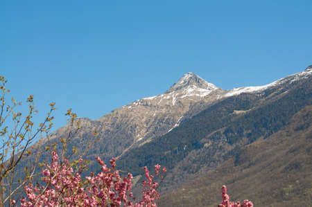 View of the Pizzo Claro (also known as Visagno Mountain) mountain with remaining snow, on a spring day in Ticino, Switzerlandの写真素材