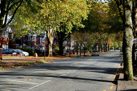 Manchester, England, United Kingdom - 10/22/2018: Autumn urban street with houses and trees lining the road and autumnal leaves on the ground.のeditorial素材