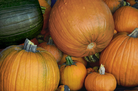 pumpkins and gourdes of various sizes stacked, filling the entire frameの写真素材