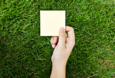 Woman hand holding a yellow notepaperの写真素材