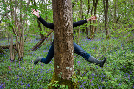 Two people appearing to be one person jumping behind a tree in Bluebell woods, England, Aprilの写真素材