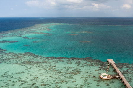 Sudan coral reefの写真素材