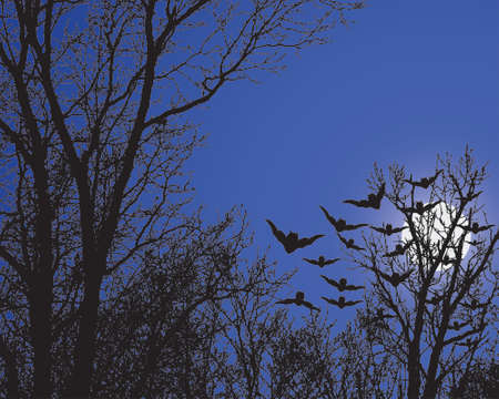 Night Treesのイラスト素材