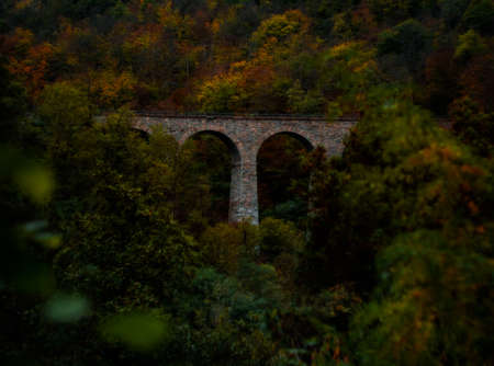 Charming autumn scenery with colorful trees.の写真素材