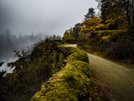 Beautiful autumn colors early morning near the lake with foggy atmosphere.の写真素材