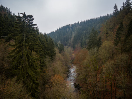 View to the river on the valley full of colorful leaves and deep atmosphere totally without any people.の写真素材