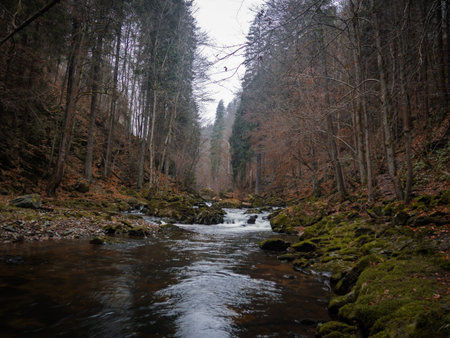 View to the river on the valley full of colorful leaves and deep atmosphere totally without any people.の写真素材