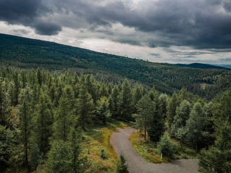 Pure green hills of Jizera mountains, Czech Republic. Calm and unique place full of beautiful trees and high hills.の写真素材