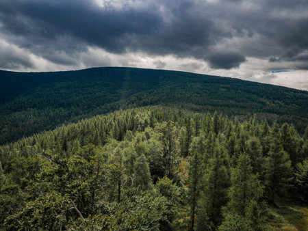 Pure green hills of Jizera mountains, Czech Republic. Calm and unique place full of beautiful trees...