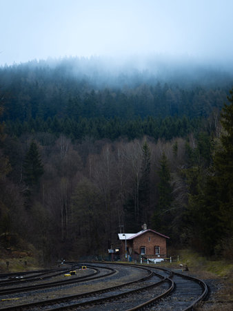 Deep forest hidden in the morning mist. Cool atmosphere morning in the railway station lost in the...