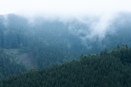 Foggy mountain and forest landscape with the best mystical atmosphere in the east of Bohemia.の写真素材