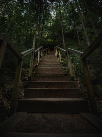 Wooden path hidden in deep forest in northern Bohemia. Path full of creepy and haunted atmosphere among dark forest.の写真素材