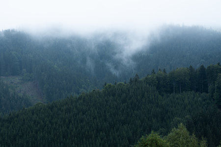 Foggy mountain and forest landscape with the best mystical atmosphere in the east of Bohemia.の写真素材