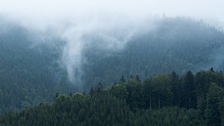 Foggy mountain and forest landscape during the golden sunrise with the best mystical atmosphere in the east of Bohemia.の写真素材