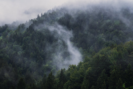 Foggy mountains and forest landscape during the atmospheric sunrise with the best mystical atmosphere in Triglavski national park, Slovenia, Europe.の写真素材