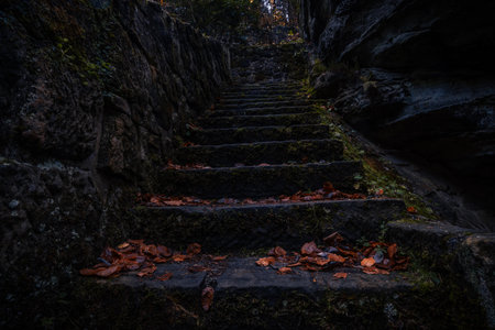 Ancient stone stairs hidden in deep forest in the north of Bohemia. Path full of creepy and haunted atmosphere in dark forest.の写真素材