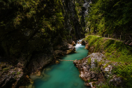 The incredible nature and beauty of pure wild river hidden deep in forest and rocks in national park...