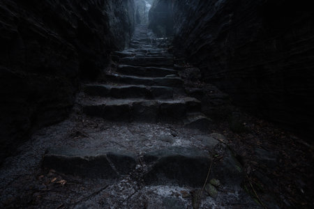 Gloomy and totally moody path lost in the foggy rocks with the best dark and mystical atmosphere in the north of Bohemia.の写真素材