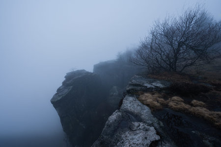 Gloomy and totally moody view deep in the foggy rocks with the best dark and mystical atmosphere in the north of Bohemia.の写真素材