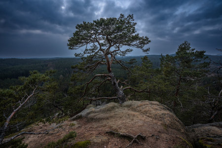 Great view to the amazingly deep valleys and dark forests with stormy clouds overhead in the...