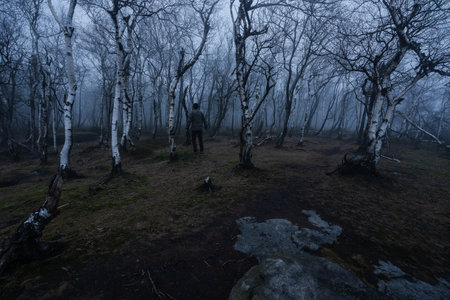 A man lost in the gloomy and totally moody path in the foggy forest with the best dark and mystical atmosphere in the north of Bohemia.の写真素材