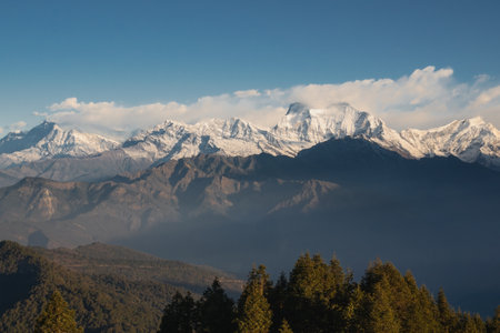 Panoramic sunrise view from Poon Hill in Himalaya mountains, Nepal, showcasing the snow-capped peaks of the Dhaulagiri massif including Tukuche Peak and Gurja Himal.の写真素材