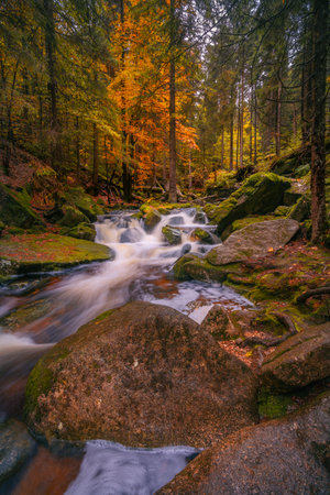 Fantasy and dark autumn forest with mystical atmosphere in the north of Bohemia, in the Jizera mountains. like a fairy tale with water rivers and waterfalls.の写真素材