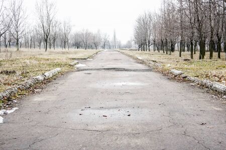 Alley in the old parkの写真素材