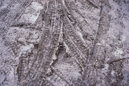 Tire prints in the mud
