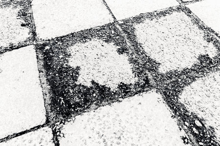 Monochrome lines background abstract textureの写真素材