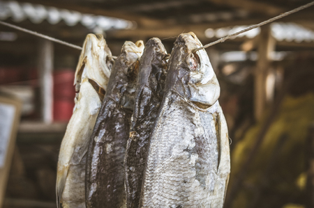 Dried fish on a ropeの写真素材