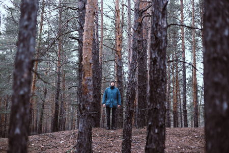 A lonely guy in a pine forest in the autumn time.の写真素材