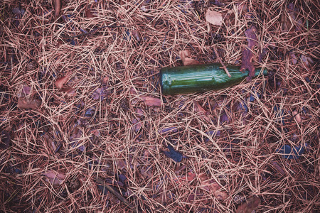 Green beer bottle on the ground in the pine forest.の写真素材