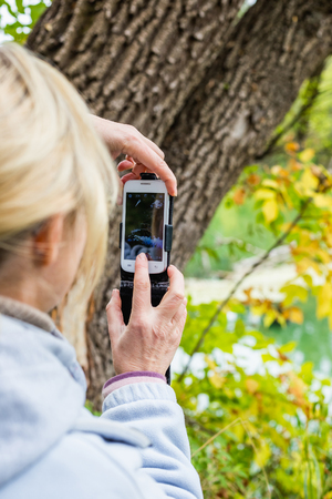 A blonde woman using a phone takes a photo of a beautiful landscape.の写真素材
