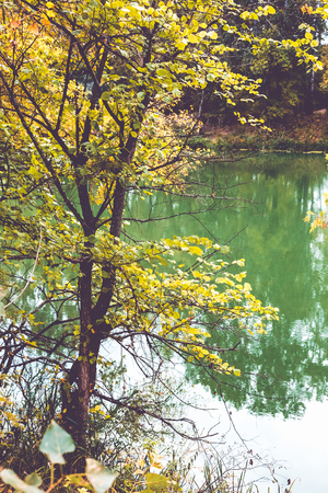 Beautiful autumn forest at the rivers coast. Ukraine.の写真素材