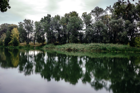 Calm river in the summer morning with green trees on background. Toned, style photo.の写真素材
