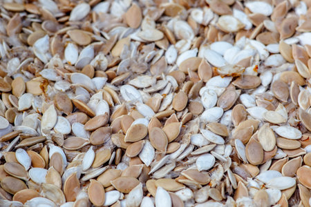 Dry pumpkin seeds background