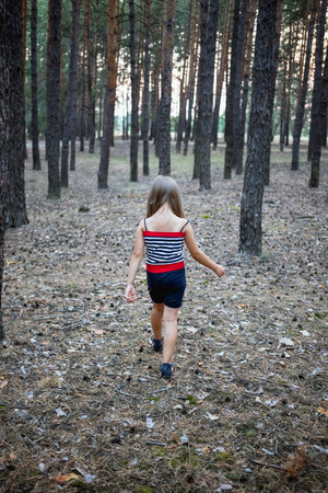 Beautiful little girl in the pine forest in summerの写真素材