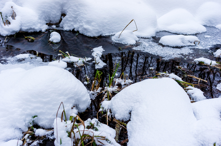 Stream with green grass in the snow.の写真素材