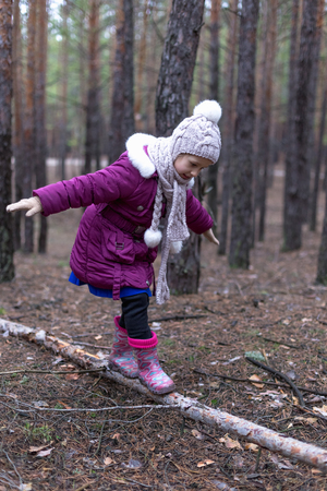 Cute little girl in pine forest in autumn time.の写真素材