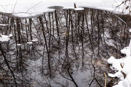 Reflections of trees in the water in winter.の写真素材