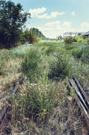 Fragment of an old overgrown abandoned railwayの写真素材