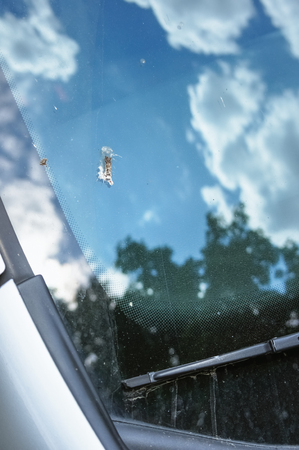 Bird droppings on the car. Bad parking concept.の写真素材