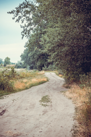 Old rural road in summertime. Style toned photo.の写真素材